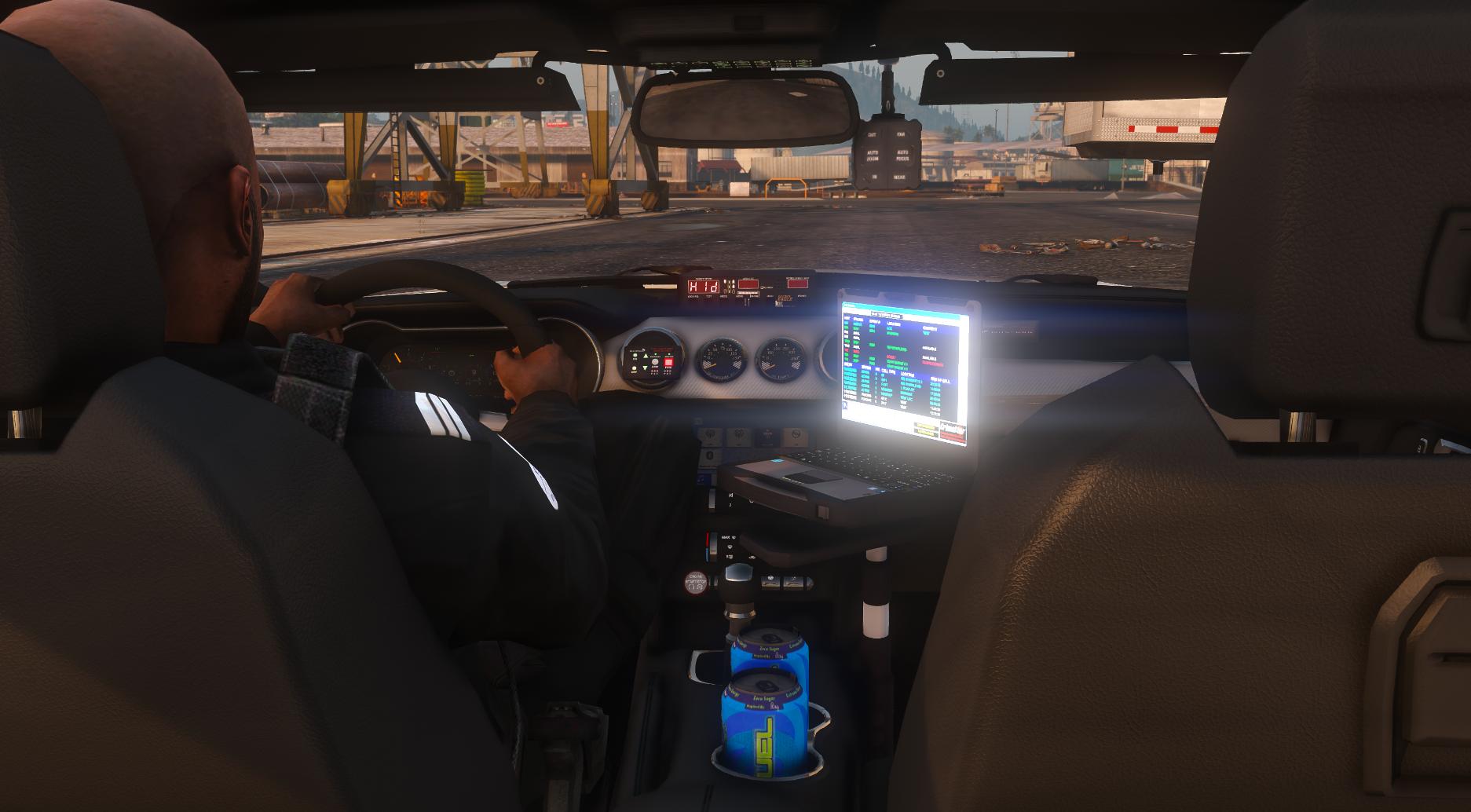 2019 Ford Mustang GT LEO Version