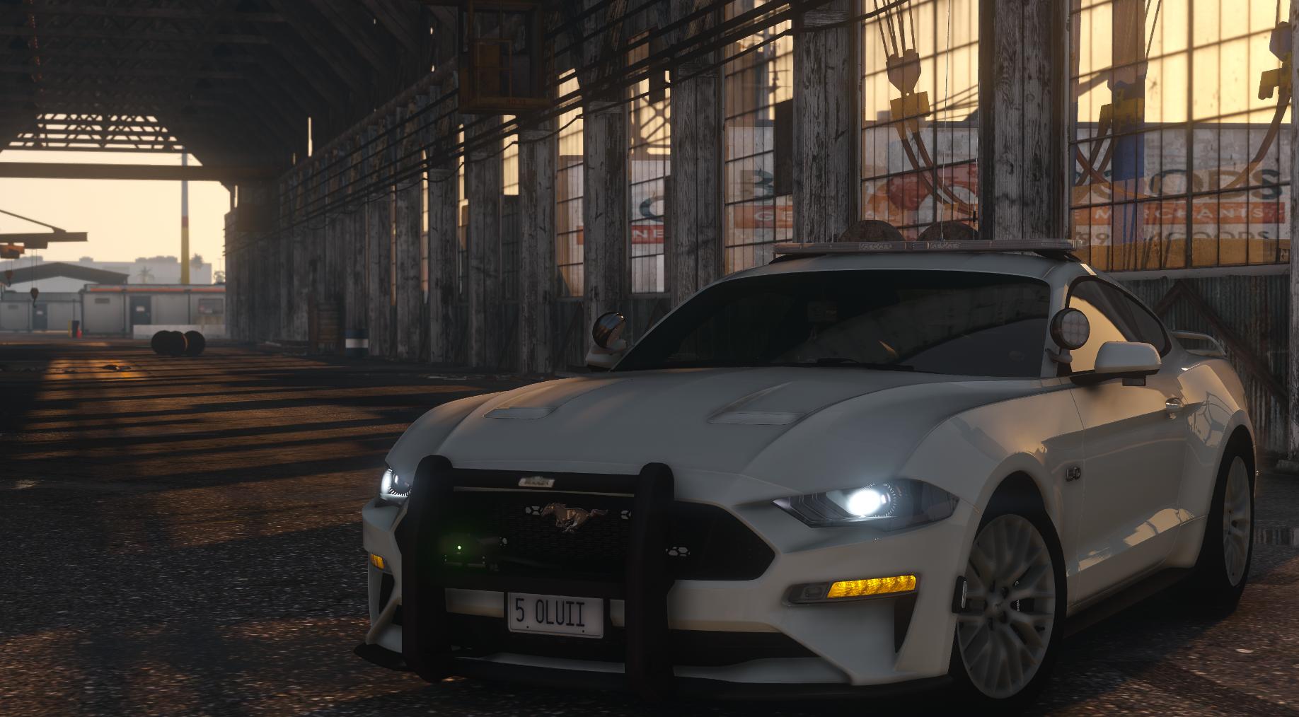 2019 Ford Mustang GT LEO Version