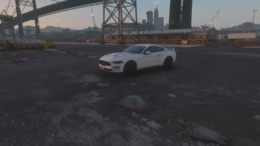 2019 Ford Mustang GT LEO Version