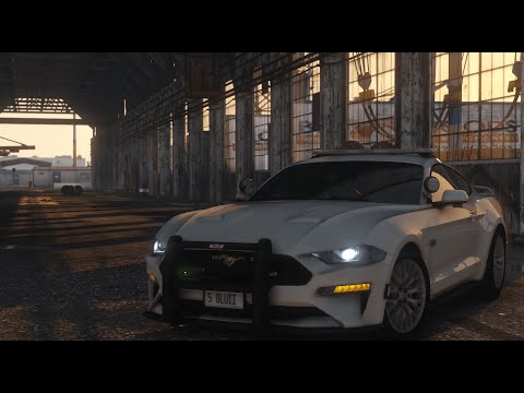 2019 Ford Mustang GT LEO Version